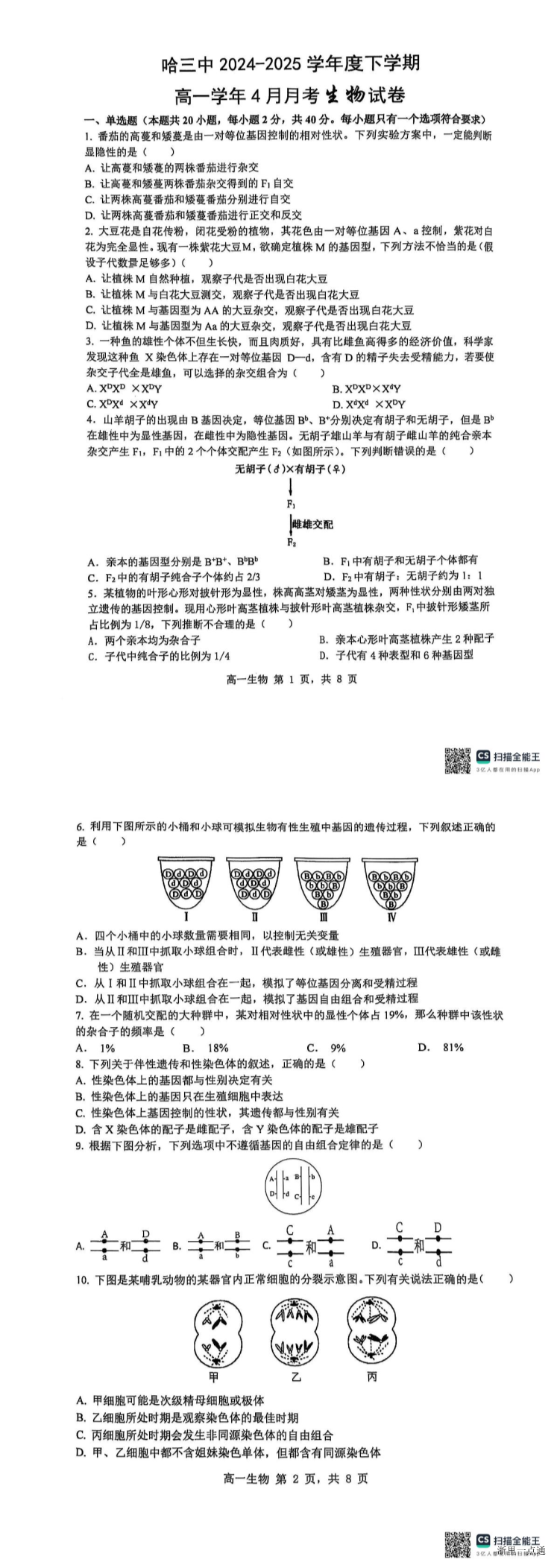 缩略图